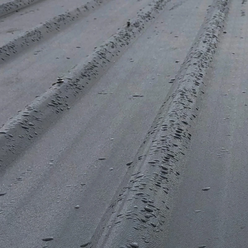 Abri De Jardin En Bois Composite 28mm Aspect Bois 4,77m² PREMIUM - Woodlife Garden 8 Abri De Jardin En Bois Composite 28mm Aspect Bois 4,77m² PREMIUM - Woodlife Garden – Image 6